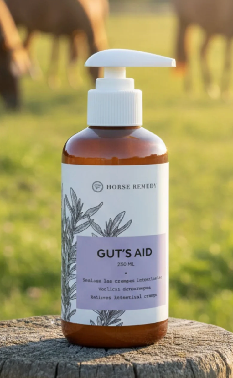 Guts'AID