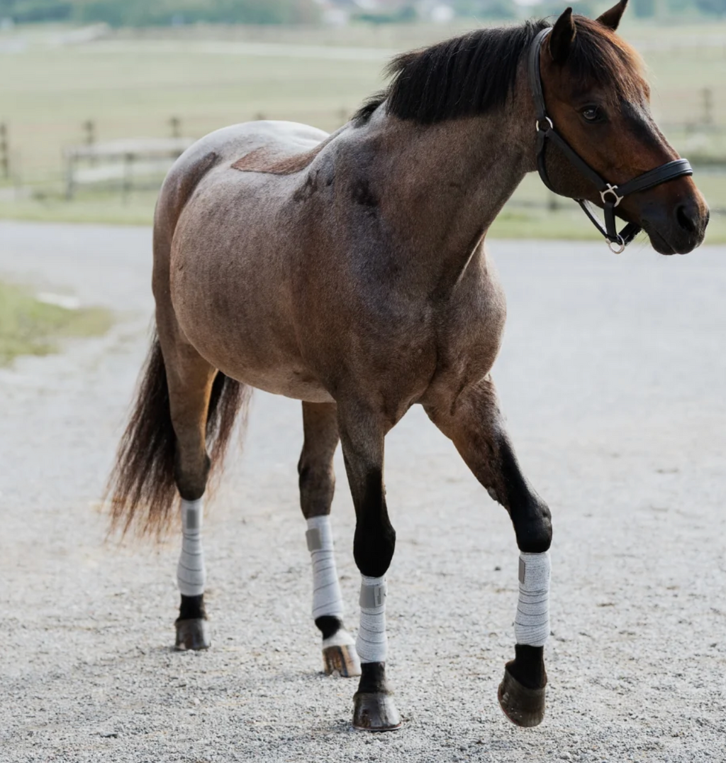 Incrediwear Equine Circulation Bandages (Grey)