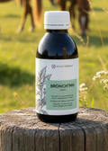 Bronch'inh