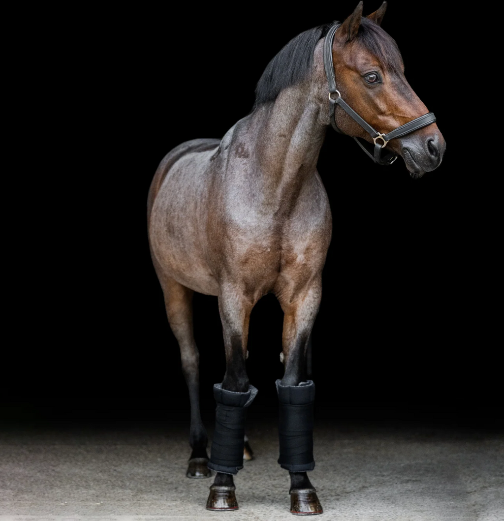 Incrediwear Equine Standing Circulation Wraps (Black)