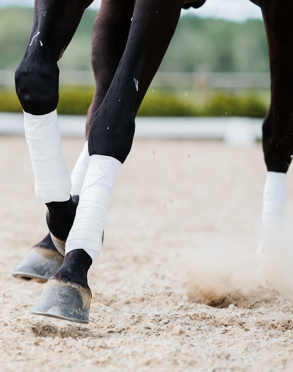 Incrediwear Equine Circulation Bandages (White)
