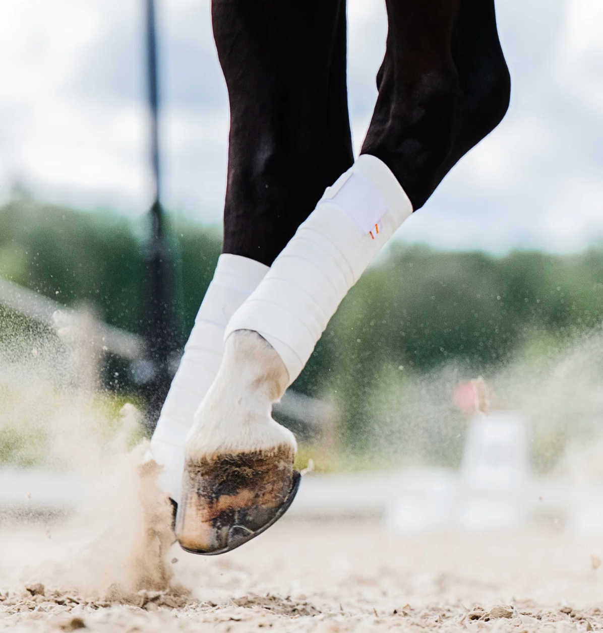 Incrediwear Equine Circulation Bandages (White)