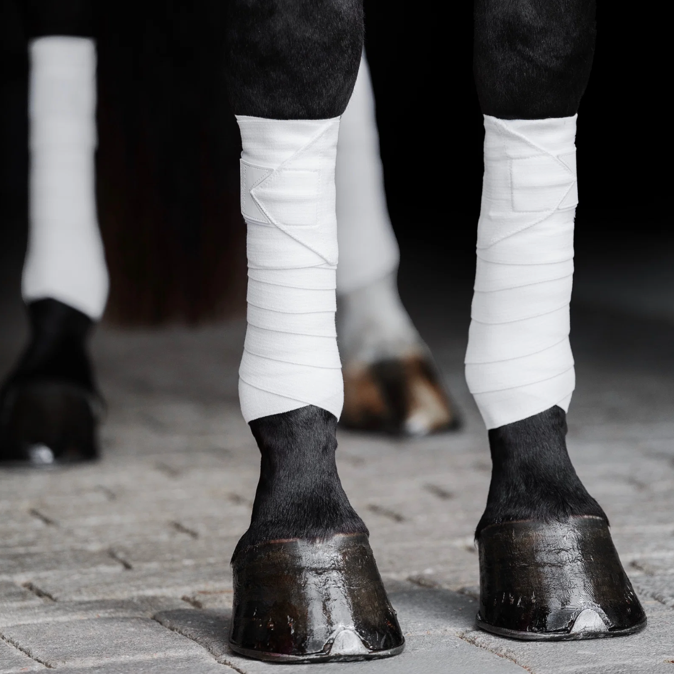 Incrediwear Equine Circulation Bandages (White)