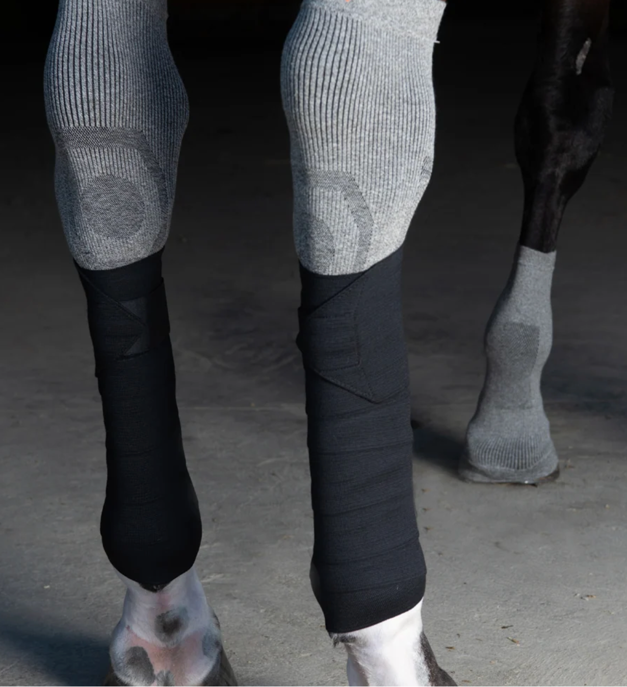 Incrediwear Equine Circulation Bandages (Black)