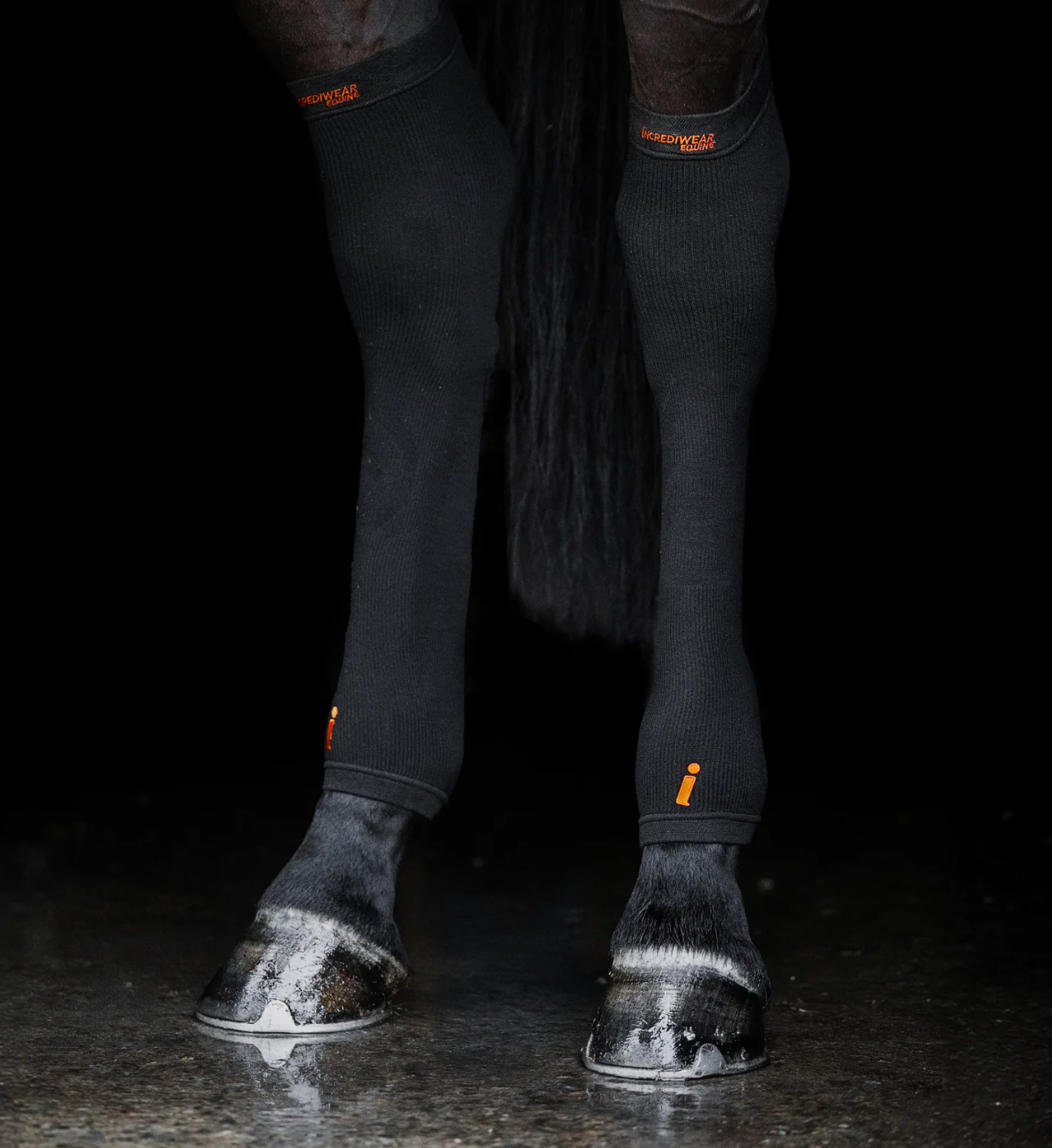 Incrediwear Hock Sleeves