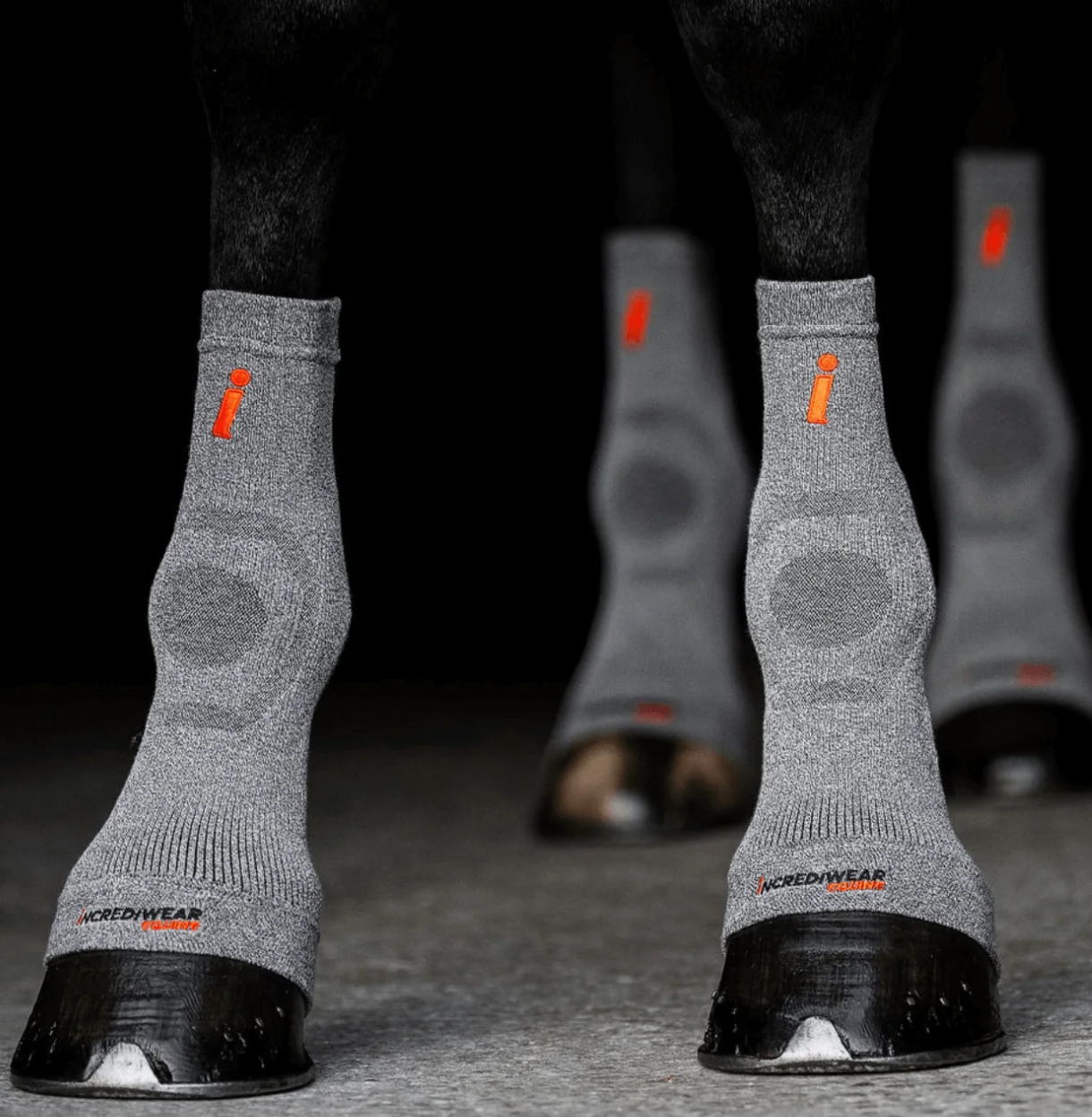 Incrediwear Equine  Circulation Hoof socks (Grey)