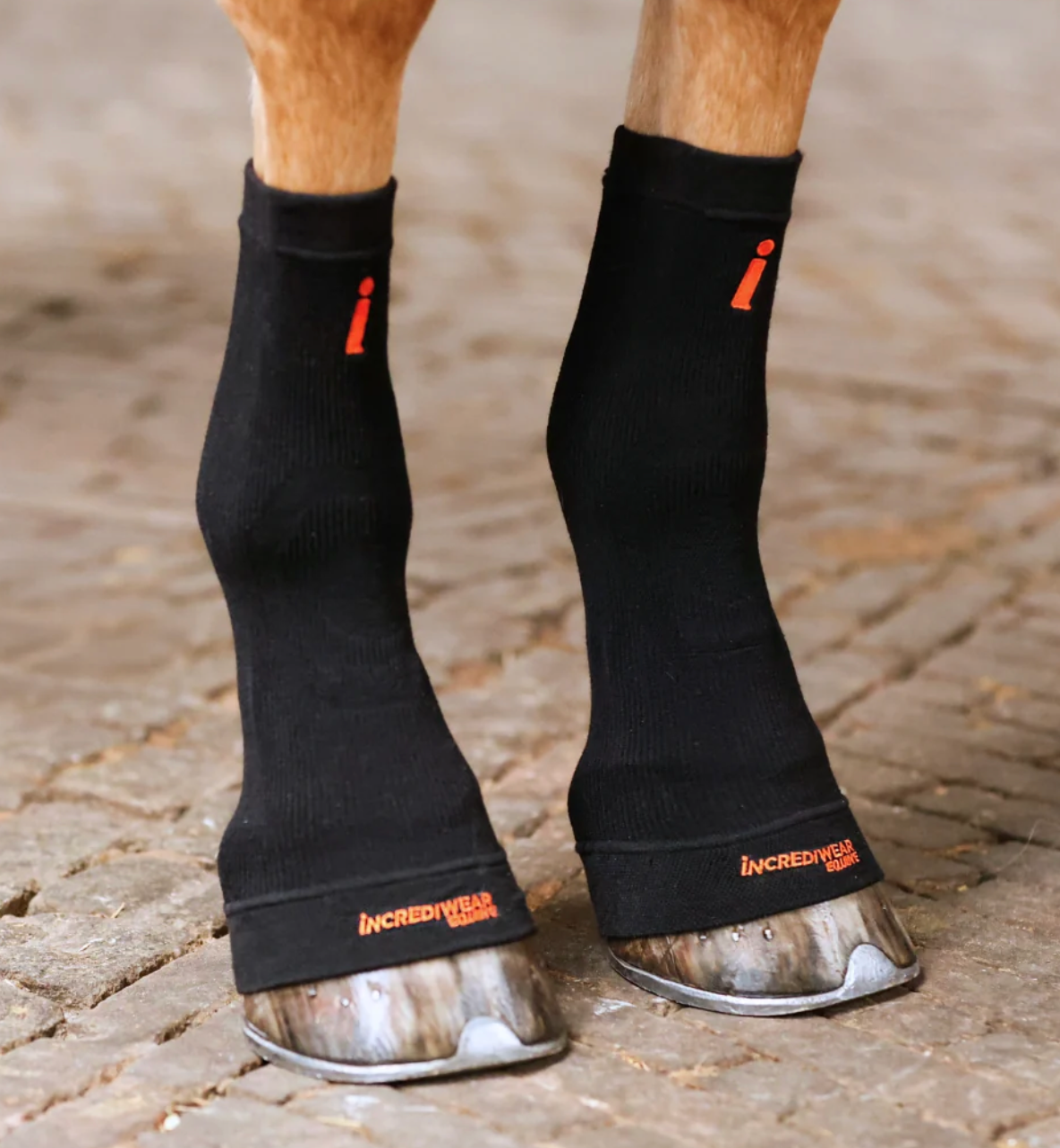 Incrediwear Equine Circulation Hoof Socks (Black|)