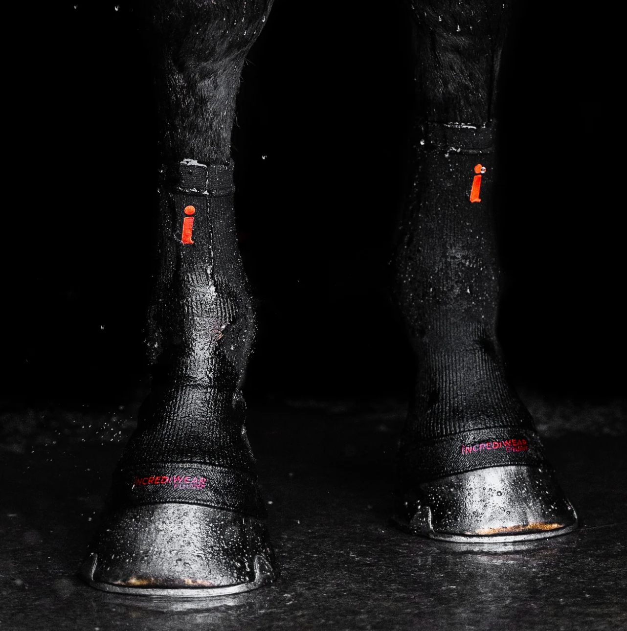Incrediwear Equine Circulation Hoof Socks (Black|)
