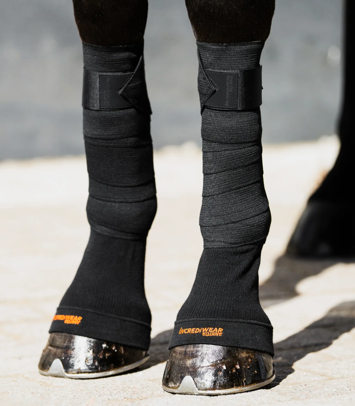 Incrediwear Equine Circulation Hoof Socks (Black|)