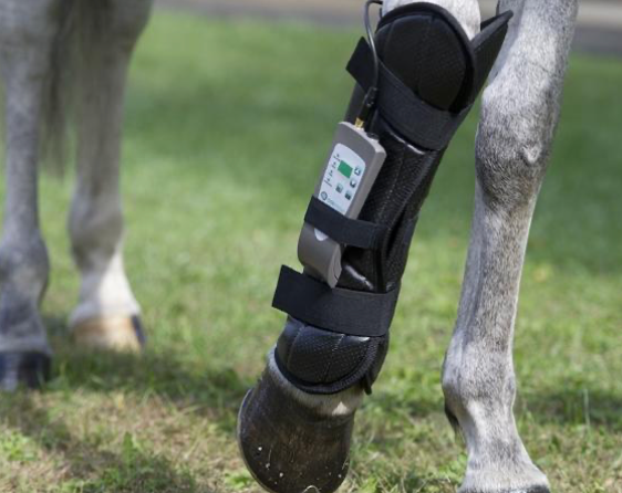 OMI PEMF Fore Leg Wrap