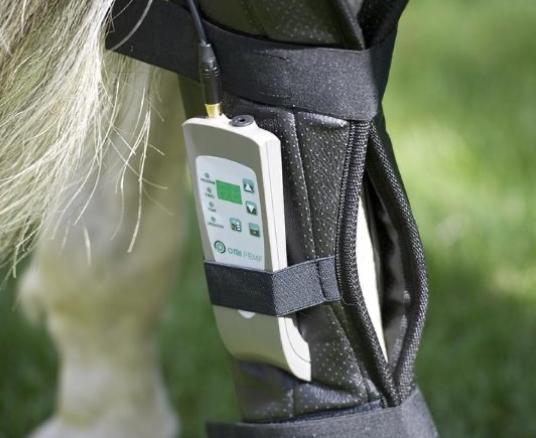 OMI PEMF Equine Bundle
